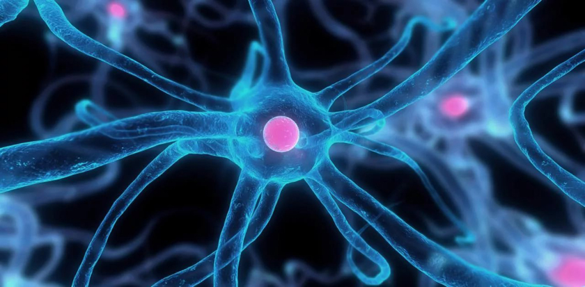 Нервные волокна страдают от шума больше, чем волосковые клетки